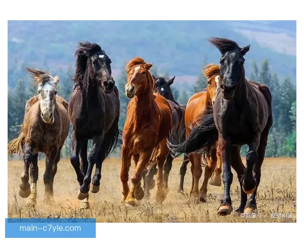 阿卡晋级遇险亨曼称其似脱缰野马 阿卡晋级遇险亨曼称其似脱缰野马