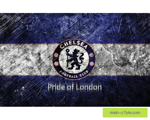 切尔西缺乏B计划 无法攻破纽卡防线 切尔西缺乏B计划 无法攻破纽卡防线